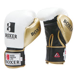 Isami Boxing Sparring Gloves